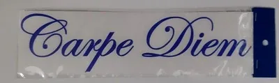 Надписи на машину — Carpe Diem (24х6 см) синяя (Лови день, Живи настоящим)
