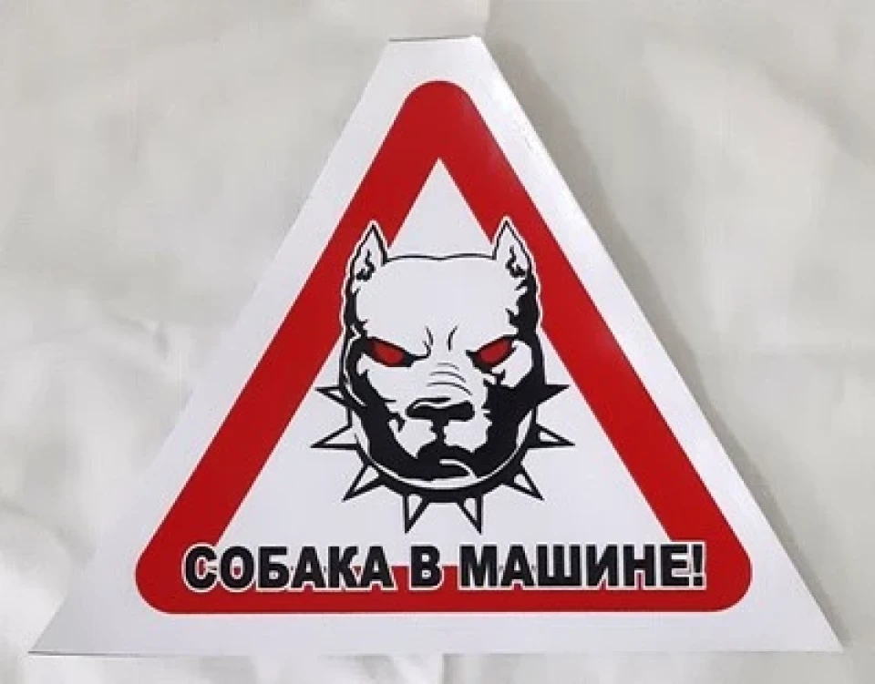 Наклейка виниловая «Собака в машине» (Питбуль) 13х12 см